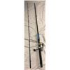 Image 1 : Berkley spinning rod w/ shimano reel