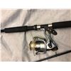 Image 2 : Berkley spinning rod w/ shimano reel