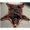 Image 1 : Beautiful black bear full hide professionally taxidermy w/tags