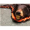 Image 2 : Beautiful black bear full hide professionally taxidermy w/tags