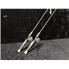 Image 1 : Two Zebco gatorback casting rods w/ ABU Garcia XLT reels