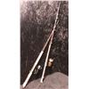 Image 3 : 2 custom built spinning rods w/mitchell 300/ Daiwa 404 reels