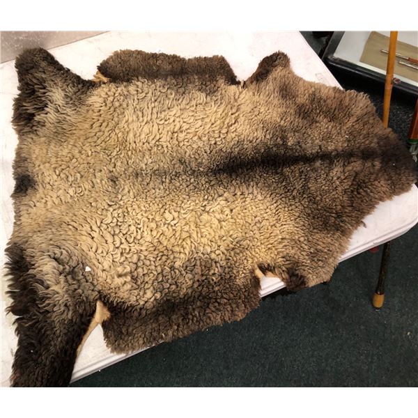 Sheep skin hide