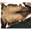 Image 1 : Sheep skin hide
