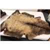 Image 2 : Sheep skin hide