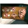 Image 1 : 1920's Gynecologist/Pediatric fetus progression display w/ original oak & chalkware - Used by aborti