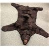 Image 1 : Black bear hide professionally taxidermy