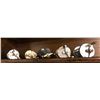 Image 1 : Group of 5 early 1900's assorted baitcast reels