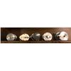 Image 2 : Group of 5 early 1900's assorted baitcast reels