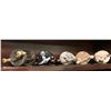 Image 2 : Group of 5 early 1900's assorted baitcast reels