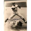 Image 2 : Framed Phil Rizzuto New York Yankees signed collector's pieces - comes w/ COA
