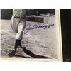 Image 2 : Framed Joe Dimaggio New York Yankees 1936-42, 1946-51 signed collector's piece - comes w/ COA