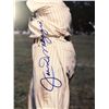 Image 2 : Framed Joe Dimaggio New York Yankees signed collector's piece - comes w/ COA