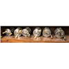 Image 1 : Group of 6 assorted vintage bait cast fishing reels
