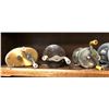 Image 3 : Group of 6 assorted vintage bait cast fishing reels