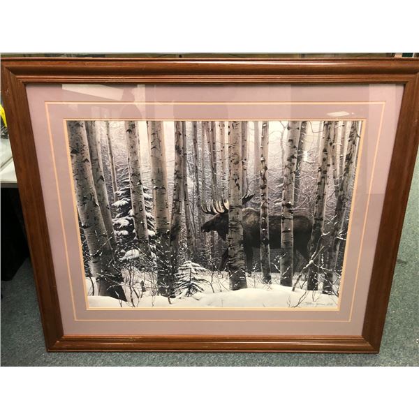 Framed Stephen Lyman Moose in Birch Forest print 44 1/2in x 36 1/2in