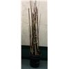 Image 1 : Approx. 50 assorted fishing rods - most are usable rods
