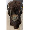 Image 1 : Original Buffalo Head from 1980s