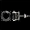 Image 2 : 5.15 ctw Fancy Black Diamond Solitaire Stud Earrings 10k White Gold - REF-82M2G