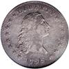 Image 1 : 1795 $1 Flowing Hair, Two Leaves XF40 NGC B-1