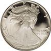 Image 1 : 1995-W $1 Silver Eagle PR69 Deep Cameo PCGS