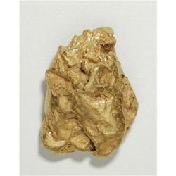 Montana Placer Gold Nugget.