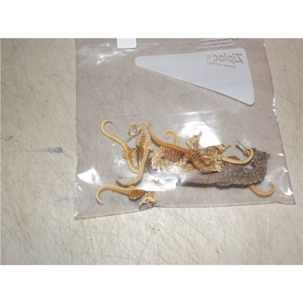 1 BAG OF SEA HORSES