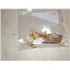 Image 1 : 1 BAG OF SEA HORSES