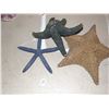 Image 1 : 3 STAR FISH