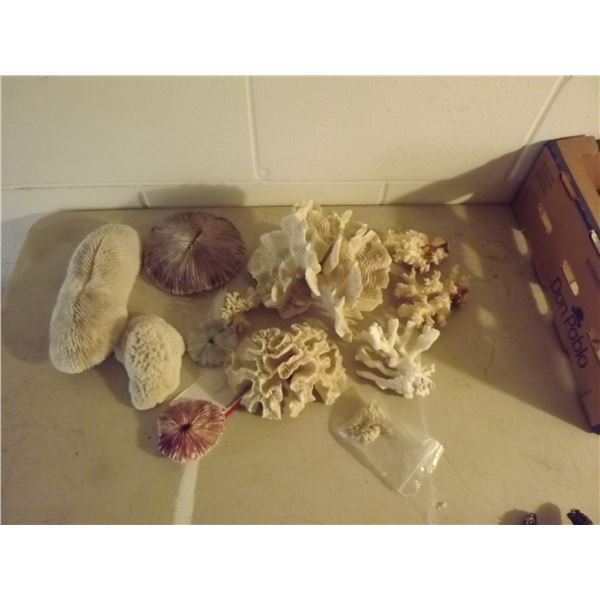 FLAT OF 12 PIECE CORAL SET