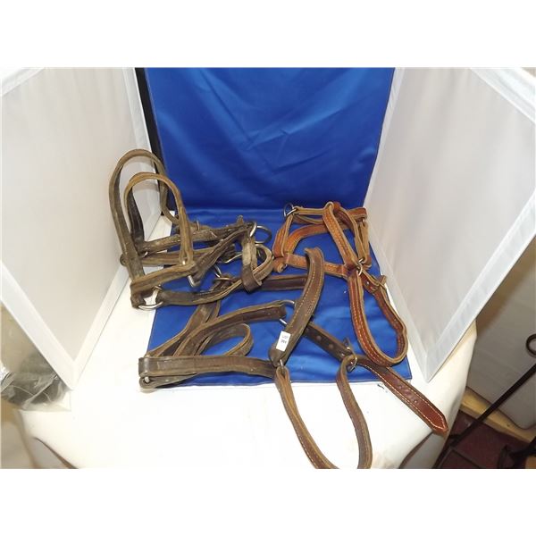 HORSE HALTERS VINTAGE LOT OF 3