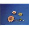 Image 1 : VINTAGE WEISS ROSE RHINESTONE BROACH AND EARING SET