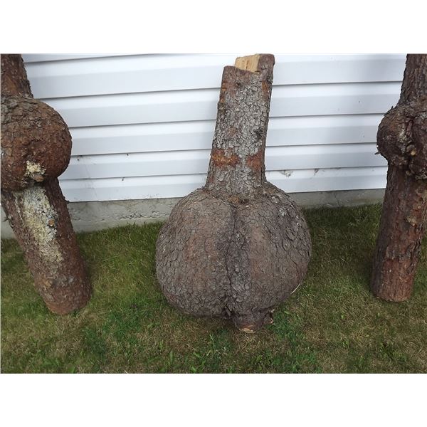 LOG WITH 1 LARGE BURL