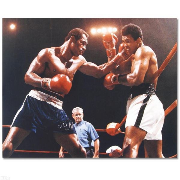 Licensed Photograph of the Heavyweight Champs Muhammad Ali and Ken Norton.