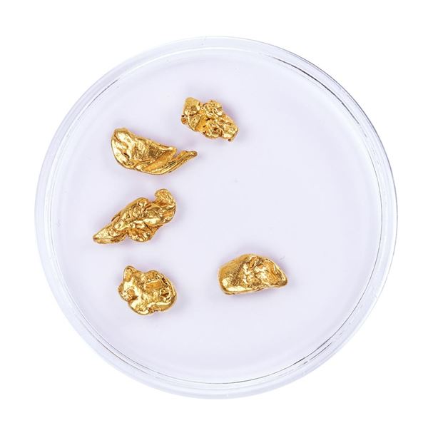 Lot of Gold Nuggets 2.78 grams Total Weight