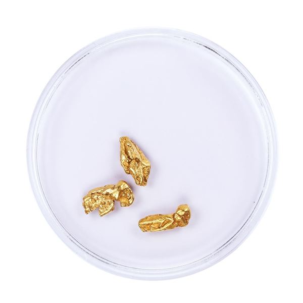 Lot of Gold Nuggets 1.36 grams Total Weight