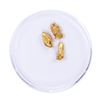 Image 2 : Lot of Gold Nuggets 1.36 grams Total Weight