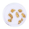 Image 2 : Lot of Gold Nuggets 3.74 grams Total Weight