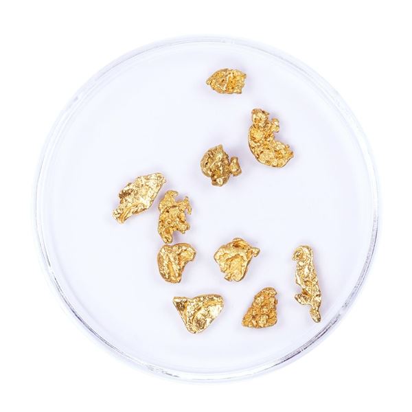 Lot of Gold Nuggets 2.00 Grams Total Weight