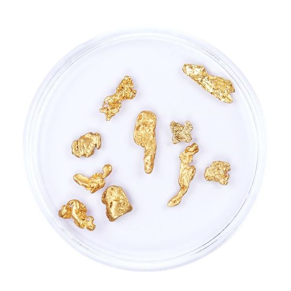 Lot of Gold Nuggets 2.19 Grams Total Weight