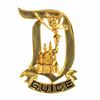 Image 1 : Disneyland Tour Guide Pin.