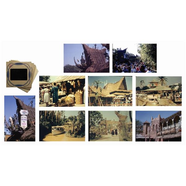 Collection of (9) Adventureland Slides.