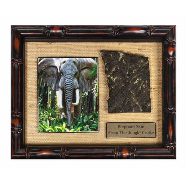 Jungle Cruise Elephant Skin Prop.