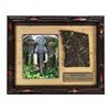 Image 1 : Jungle Cruise Elephant Skin Prop.