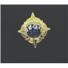 Image 2 : Set of (5) Walt Disney World Club 33 Pins.