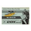 Image 1 : Flight Circle Cox Wings Pin & Junior Pilots Order Form.
