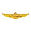Image 2 : Flight Circle Cox Wings Pin & Junior Pilots Order Form.