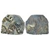 Image 1 : Ancient India: Imperial Magadhan silver punch-marked Karshapana coin (400-350 BC), 3.38g