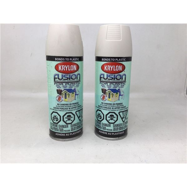 Krylon Fusion (2 x 340g)