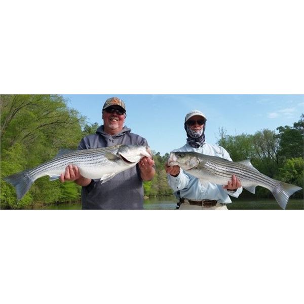 4-Hour Striper Fishing Trip for Four People with The Striper Experience